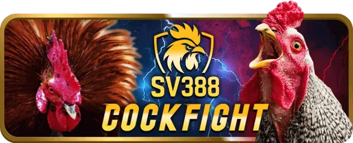 Hướng dẫn chi tiết cách đặt cược trong game bắn cá U888BET